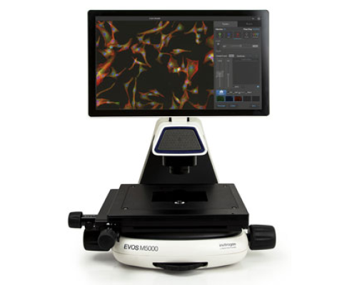 Система визуализации Evos M5000, механический столик, 5 объективов, монохромная камера, Thermo FS