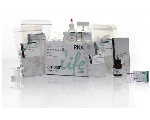 Набор RiboPure RNA Purification Kit, bacteria, Thermo FS