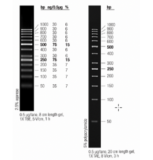 Маркер длин ДНК GeneRuler 50 bp, 13 фрагментов от 50 до 1000 п.н., готовый к применению, 0,1 мкг/мкл, Thermo FS