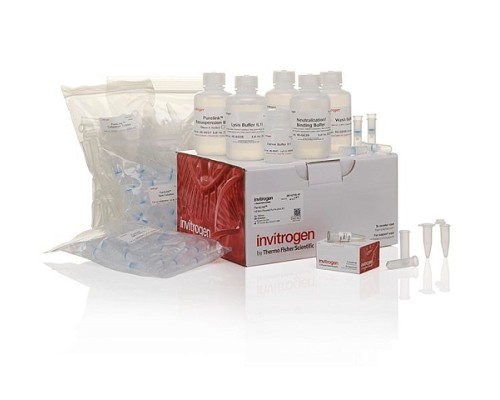 Набор PureLink HQ Mini Plasmid DNA Purification Kit, Thermo FS