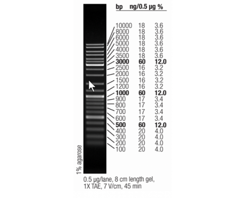Маркер длин ДНК GeneRuler Mix, 15 фрагментов от 100 до 10000 п.н., 0,5 мкг/мкл, Thermo FS