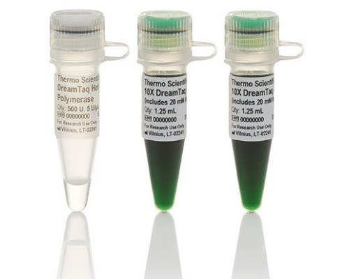 ДНК-полимераза DreamTaq Hot Start Green, термостабильная, с «горячим» стартом, 5 ед/мкл, Thermo FS