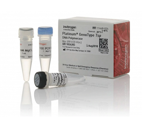 ДНК-полимераза Platinum GenoType Tsp DNA Polymerase, Thermo FS